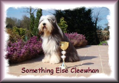 Something Else - Bravo Cleewhan !
