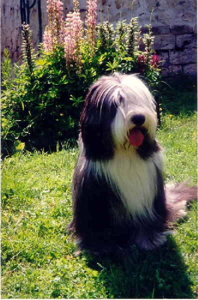 Something Else La passionata